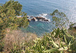 sant Feliu de Guíxols